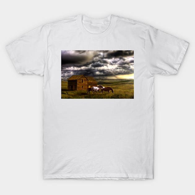 Prairie Storm T-Shirt by colorful